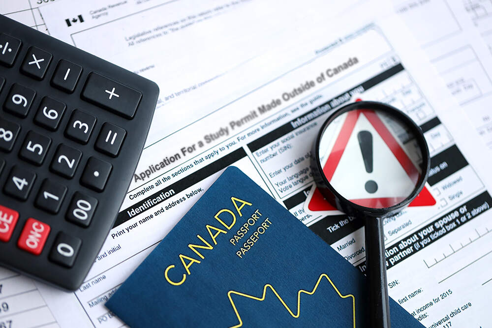 study permit fraud